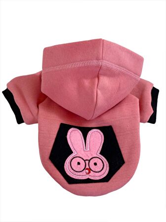 Student Rabbit Sweatshirt Köpek Kıyafeti Köpek Elbisesi