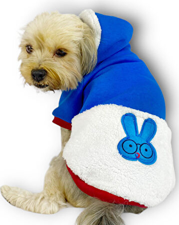 Sweet Blue Rabbit Kapşonlu Sweatshirt Köpek Kıyafeti Köpek Elbisesi 