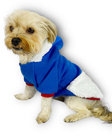 Sweet Blue Rabbit Kapşonlu Sweatshirt Köpek Kıyafeti Köpek Elbisesi 