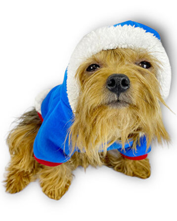 Sweet Blue Rabbit Kapşonlu Sweatshirt Köpek Kıyafeti Köpek Elbisesi 