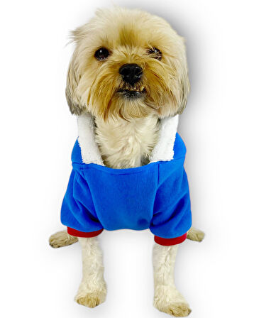 Sweet Blue Rabbit Kapşonlu Sweatshirt Köpek Kıyafeti Köpek Elbisesi 