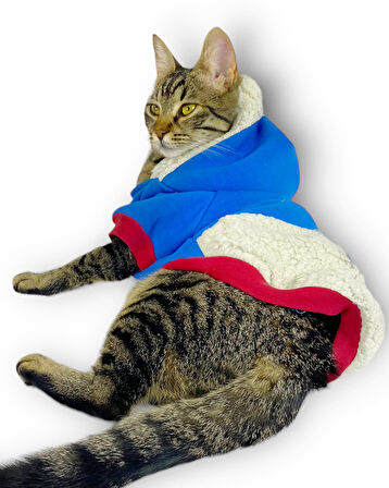 Sweet Blue Rabbit Sweatshirt Kapşonlu Kedi Kıyafeti Kedi Sweatshirt