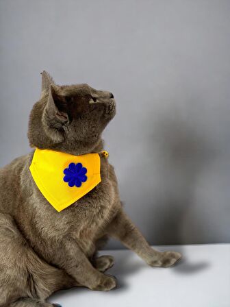 Yellow Blue Kedi Bandana, Fular, Kedi Kıyafeti Kedi Elbisesi, Kedi Tasması