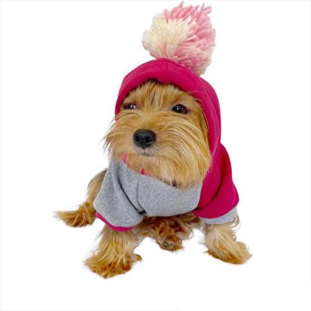 Pink Amigo Kapşonlu Sweatshirt Köpek Kıyafeti Köpek Elbisesi 
