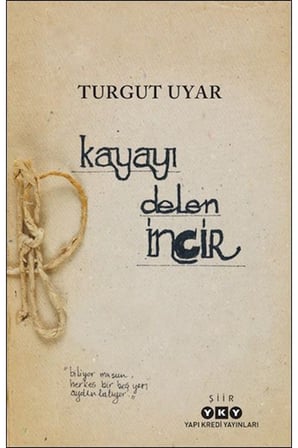 Kayayı Delen İncir