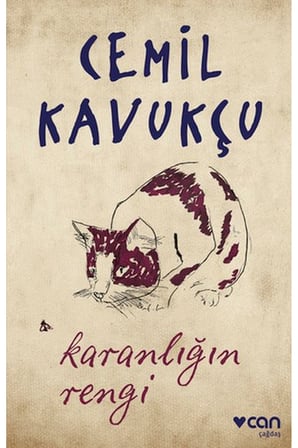 Karanlığın Rengi