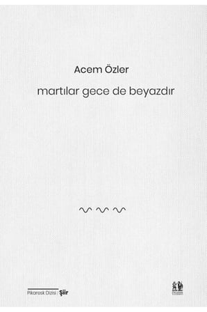 Martılar Gece de Beyazdır