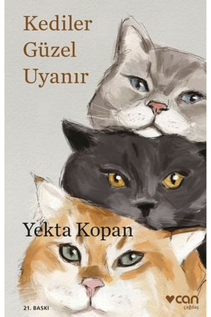Kediler Güzel Uyanır