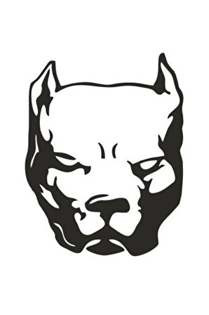 Pitbull Duvar Dekor Sticker 40 x 48 cm