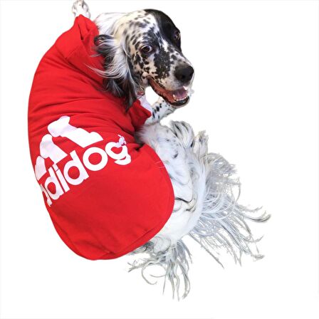 Kırmızı Kapşonlu Sweatshirt, Orta ve Büyük Irklar İçin