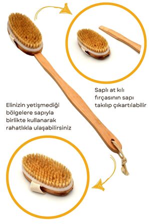 At Kılı Selülit Masaj Fırçası Çıkarılabilir Ahşap Saplı Peeling Fırça  %100 Doğal