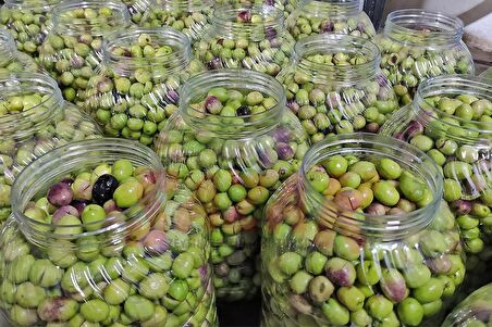 Kendin Tatlandır Kırma Yeşil Zeytin Mut Zeytini Yeni Sezon