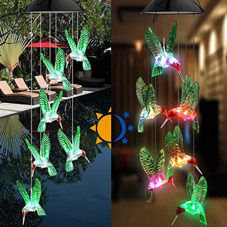 KENPAZAR Solar Led Işıklı Kuşlu Bahçe Dekoru 6 Ledli,Renkli Işık