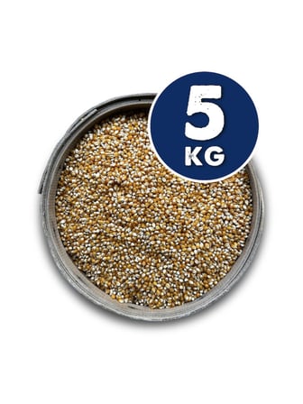 PATLAYAN MISIR 5 KG