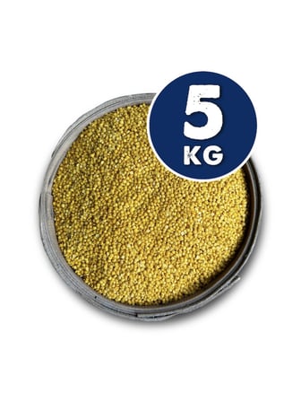 YERLİ SARI MERCİMEK 5 KG