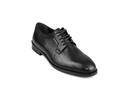 Dexter KO0365-61