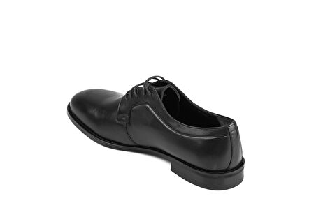 Dexter KO0365-61