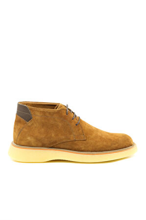 Dexter KO5037-48