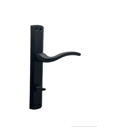 KOLDOOR Trim Mat Siyah Lüx Aynalı Wc Banyo Kapı Kolu Sağ Basar 2 Takım
