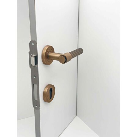 KOLDOOR Erva Handles ZK79 Mat Antik Sarı Rozetli Yale Çelik Kapı Kolu Sağ Basar Tek Yön