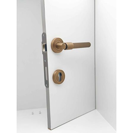 KOLDOOR Erva Handles ZK79 Mat Antik Sarı Rozetli Yale Çelik Kapı Kolu Sağ Basar Tek Yön