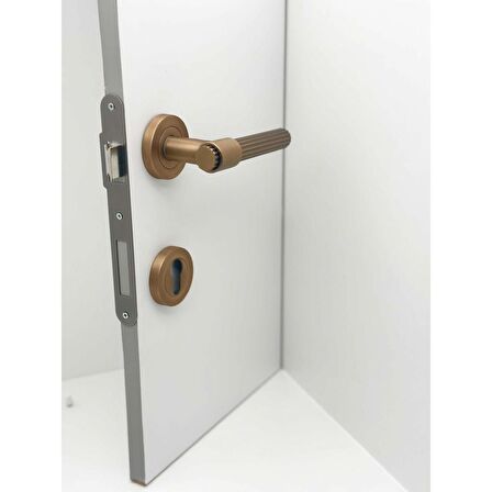 KOLDOOR Erva Handles ZK79 Mat Antik Sarı Rozetli Yale Çelik Kapı Kolu Sağ Basar Tek Yön