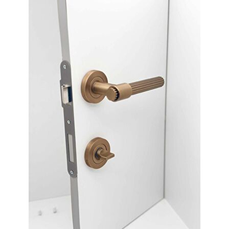 KOLDOOR Erva Handles ZK79 Mat Antik Sarı Rozetli Wc Banyo Kapı Kolu 1 Takım