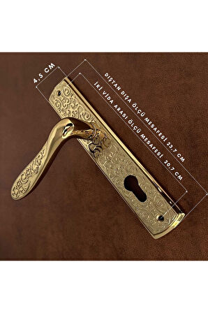 Özen Handles İmza Titanyum ZK19 Zamak Aynalı Yale Çelik Kapı Kolu Sol Basar Tek Yön