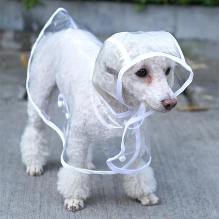 Köpek Yağmurluğu -sarı - (small)