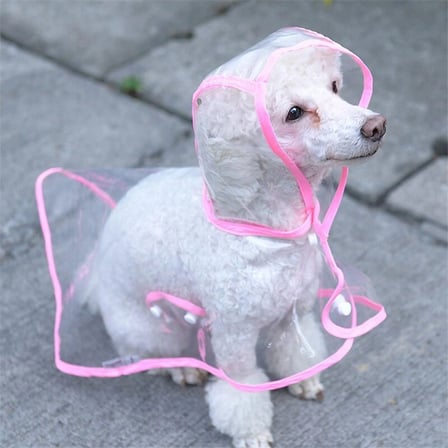 Köpek Yağmurluğu -sarı - (small)