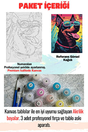 Sayılarla Boyama Çerçeveli Hobi Seti Numaralı Tuval Fırça Boya Dahil Kasnaklı KÖPEK 40X50 Cm