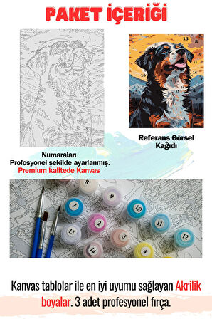 Sayılarla Boyama Çerçeveli Hobi Seti Numaralı Tuval KÖPEK Fırça Boya Dahil Kasnaklı 40X50 Cm