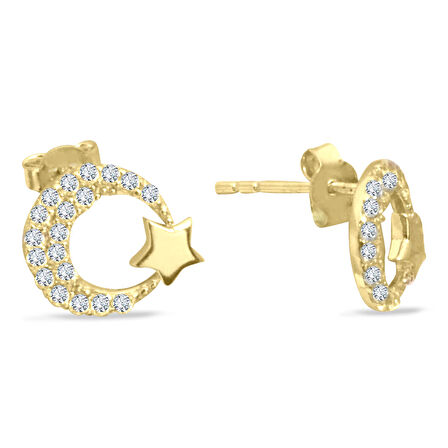 Ay Yıldız Altın Küpe (KP0069)