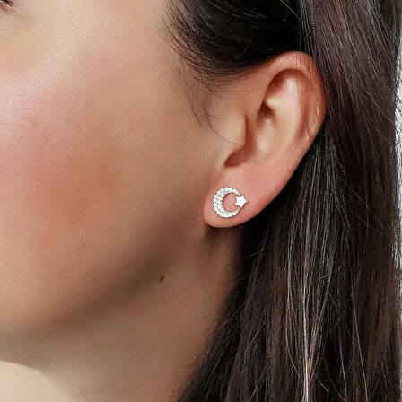 Ay Yıldız Altın Küpe (KP0069)