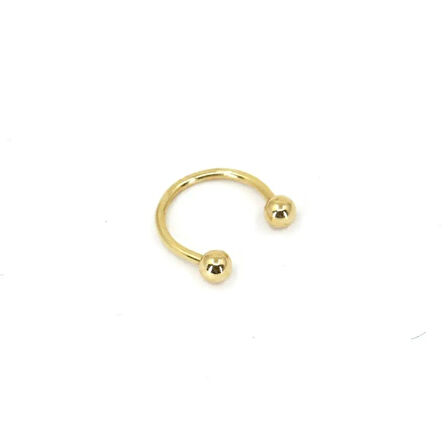 EXPECT Piercing-Tragus