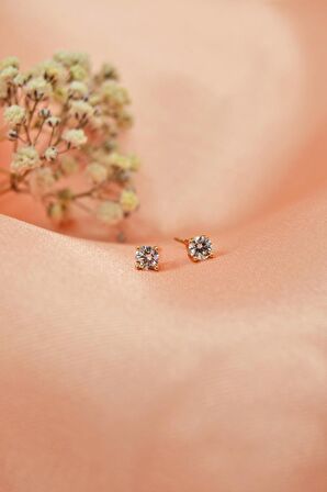 Küçük Boy Tektaş Küpe 4 mm