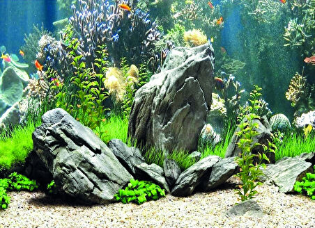 Kanki Pet KP5540034 Akvaryum Arka Fon Yapıştırma 55 x 40 CM