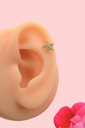 Zirkon Taşlı Arkası Düz Çelik Yıldız Tragus Piercing Helix Lob Gold Renk