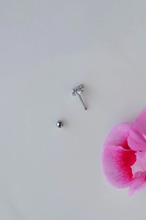Gümüş Renkli Kelebek Figürlü Piercing Helix Kıkırdak Conch Lob