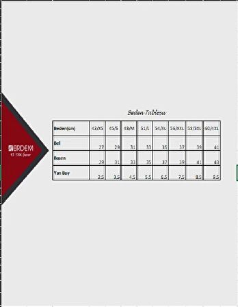 Erdem Kadın Likralı Bikini Külot 7105 - 6 Adet