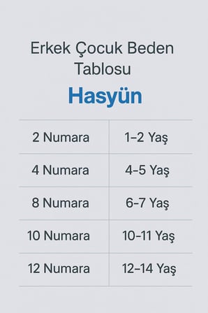 Hasyün Erkek Çocuk İnce Termal Yün Atlet 520E - 2 Adet