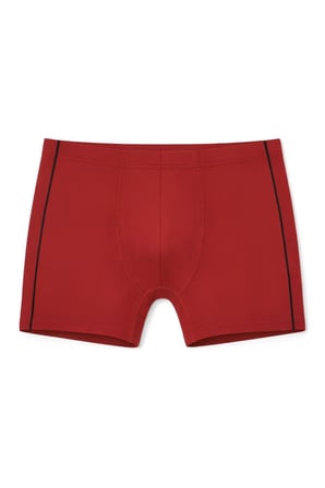 Yıldız Çamaşır Erkek Modal Biyeli Boxer (105-106-107-108-109)- 3 Adet