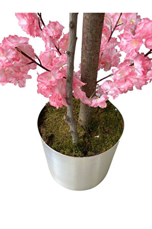 Kırık Pembe Bahar Dalı 180 Cm 30x30 Metal Saksı