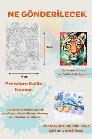 Sayılarla Boyama Çerçeveli Hobi Seti Numaralı Tuval Fırça Boya Dahil Kasnaklı 40X50 Cm