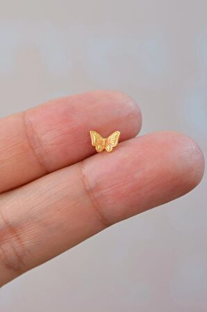 Gold Çelik Altın Kelebek Helix Piercing Kıkırdak Lob