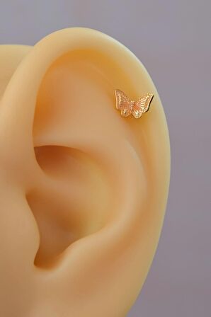 Gold Çelik Altın Kelebek Helix Piercing Kıkırdak Lob