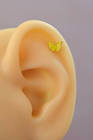 Gold Çelik Sarı Kelebek  Helix Piercing Kıkırdak Lob