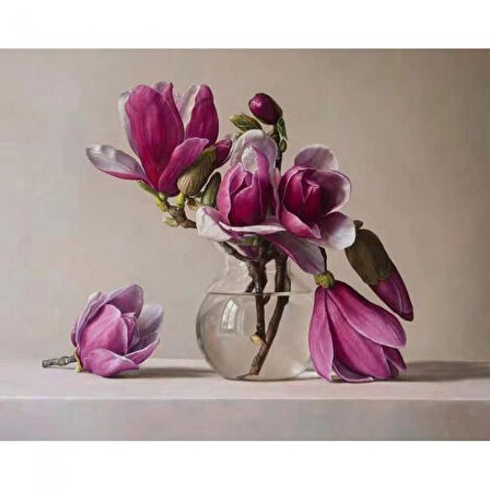 Canvas Cam Saksı ve Pempe Çiçekler Sayılarla Boyama Seti  Kasnaklı 40 x 50 cm