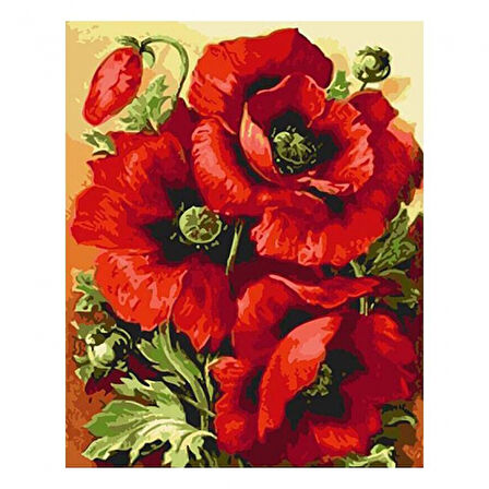 Canvas Gelincik Demeti Sayılarla Boyama Seti  Kasnaklı 40 x 50 cm