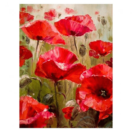 Canvas Gelincik Tarlası Sayılarla Boyama Seti  Kasnaklı 40 x 50 cm